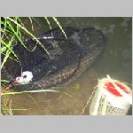 Majdalena 25.6.2008 -44.JPG